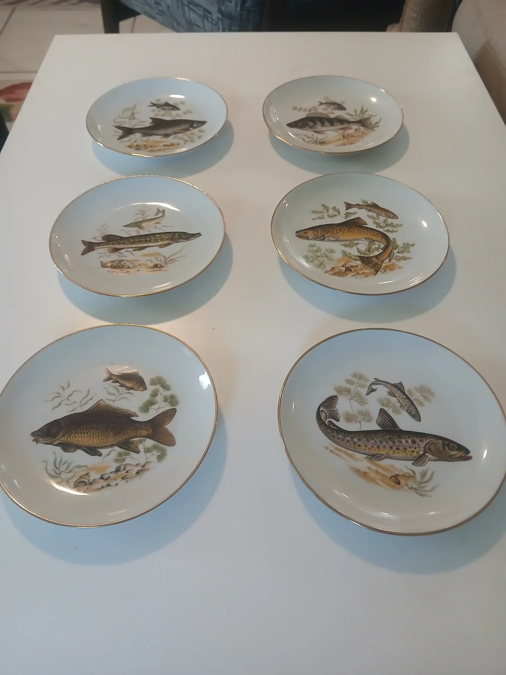 6 Gold Trim Vintage Naaman Israel Round Porcelain 6 1/2 Inch Plate
